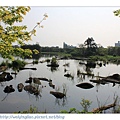 IMG_8150-1.jpg