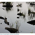 IMG_8152-1.jpg