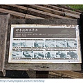 IMG_8156-1.jpg