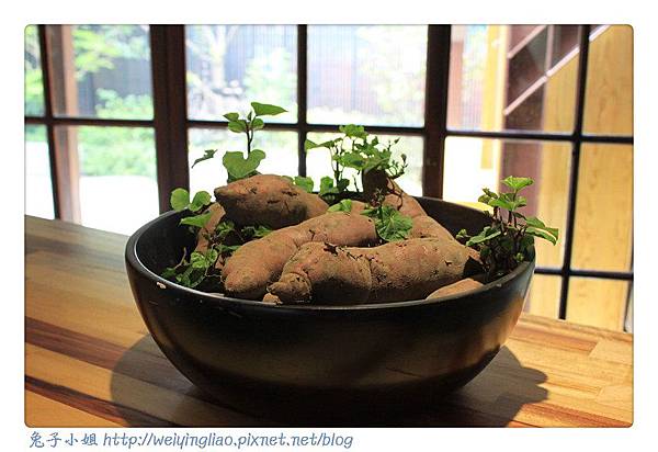 IMG_2469-1.jpg IMG_2469-1.jpg