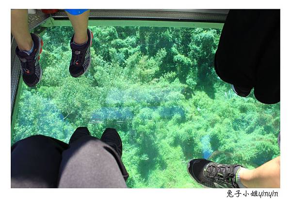 IMG_7517_副本.jpg IMG_7517_副本.jpg