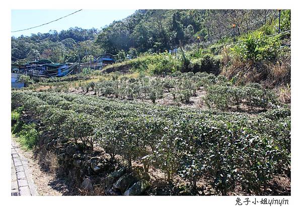 IMG_7612_副本.jpg IMG_7612_副本.jpg