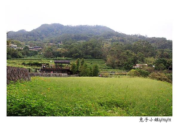 IMG_8108_副本.jpg IMG_8108_副本.jpg