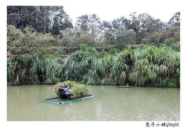 IMG_8112_副本.jpg IMG_8112_副本.jpg