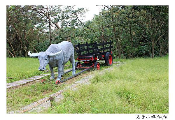 IMG_8117_副本.jpg IMG_8117_副本.jpg