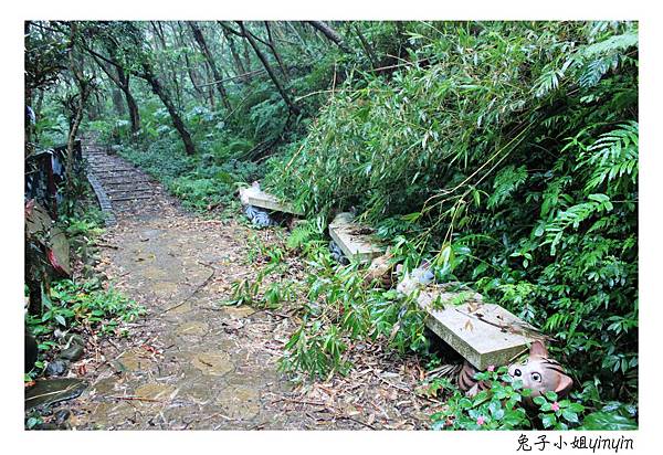 IMG_8153_副本.jpg IMG_8153_副本.jpg