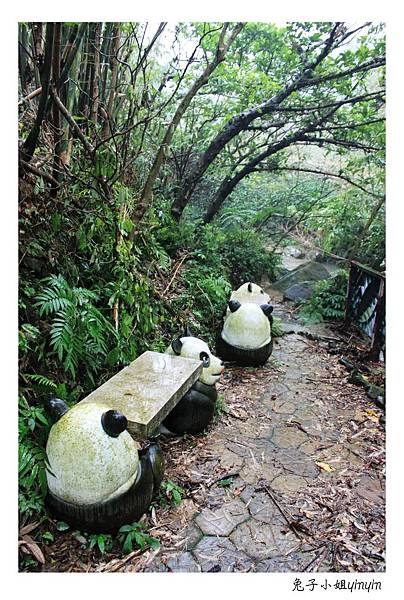 IMG_8155_副本.jpg IMG_8155_副本.jpg