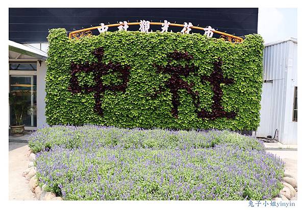 IMG_2257_副本.jpg IMG_2257_副本.jpg