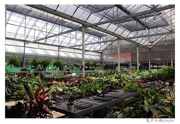 IMG_2279_副本.jpg IMG_2279_副本.jpg