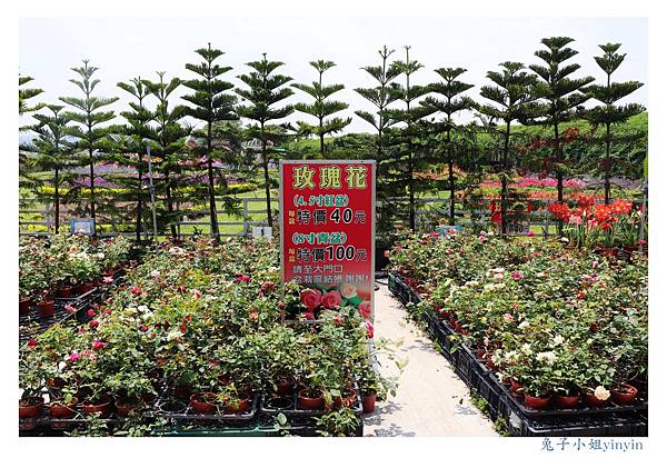 IMG_2291_副本.jpg IMG_2291_副本.jpg