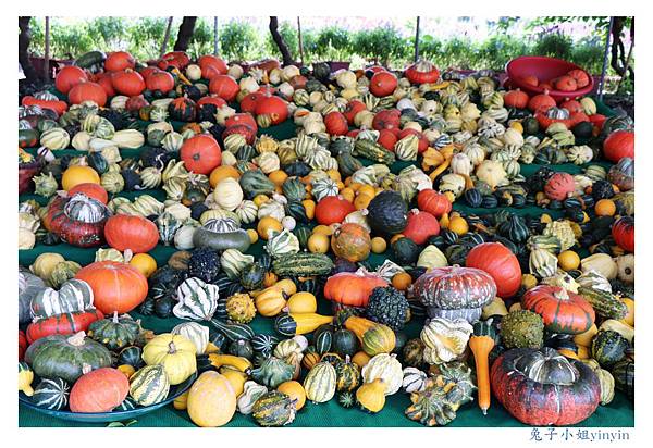 IMG_2304_副本.jpg IMG_2304_副本.jpg