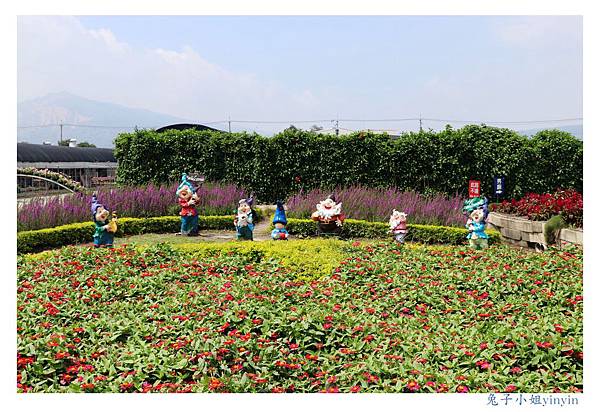 IMG_2308_副本.jpg IMG_2308_副本.jpg