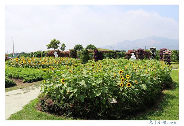 IMG_2311_副本.jpg IMG_2311_副本.jpg