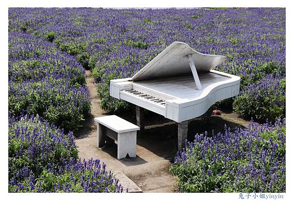 IMG_2326_副本.jpg IMG_2326_副本.jpg