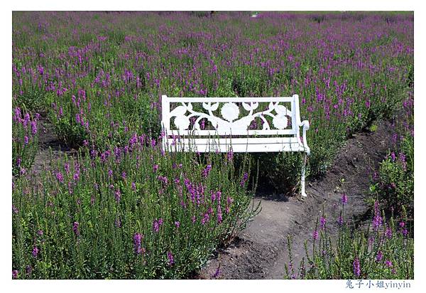 IMG_2333_副本.jpg IMG_2333_副本.jpg