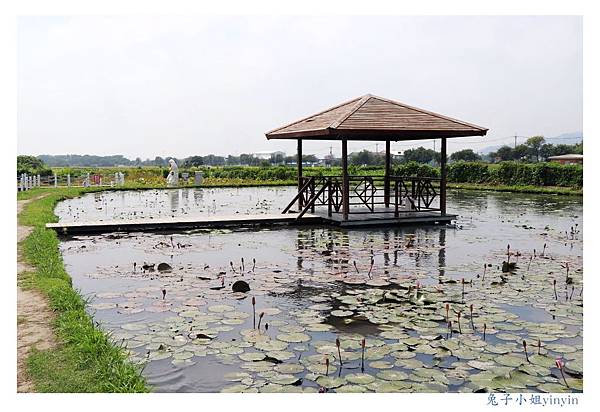 IMG_2335_副本.jpg IMG_2335_副本.jpg