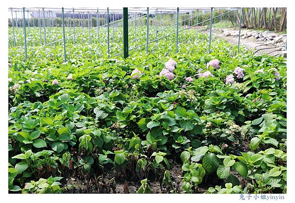 IMG_2342_副本.jpg IMG_2342_副本.jpg