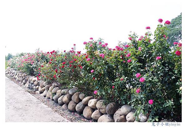 IMG_2344_副本.jpg IMG_2344_副本.jpg