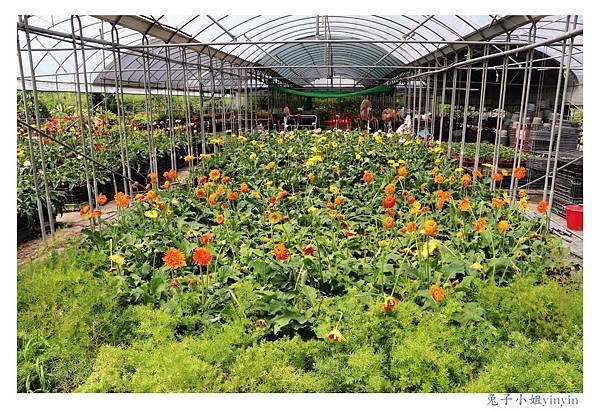 IMG_2349_副本.jpg IMG_2349_副本.jpg