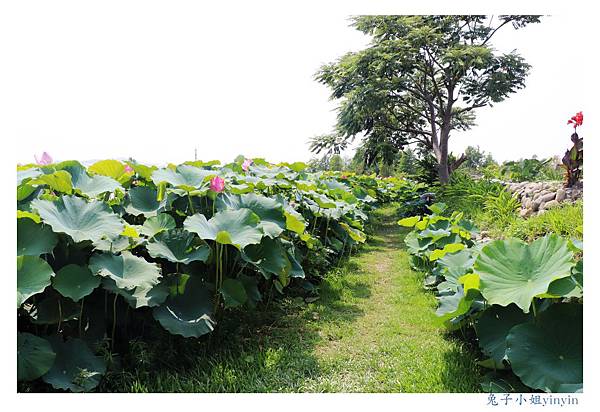 IMG_2350_副本.jpg IMG_2350_副本.jpg