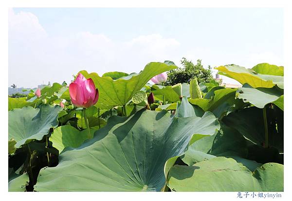 IMG_2352_副本.jpg IMG_2352_副本.jpg