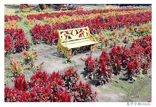 IMG_2368_副本.jpg IMG_2368_副本.jpg