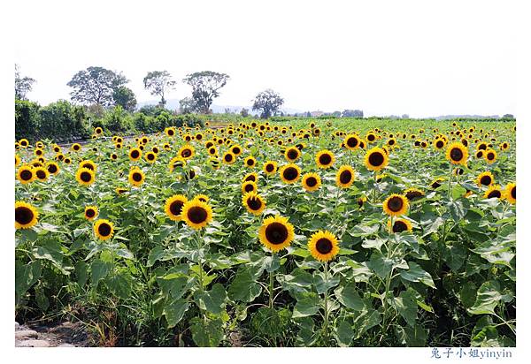 IMG_2373_副本.jpg IMG_2373_副本.jpg