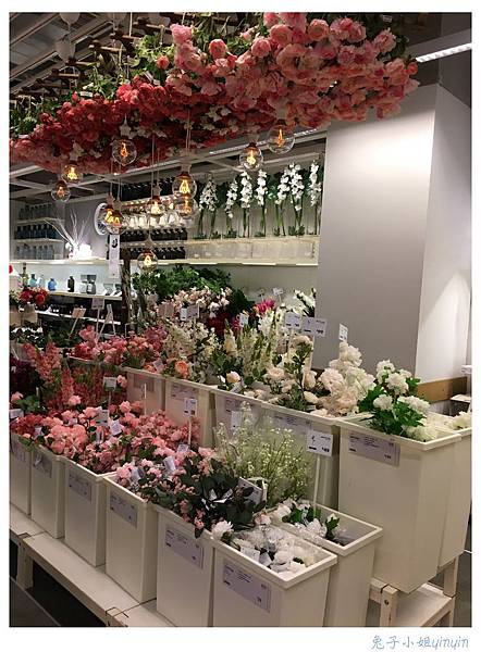 IMG_7846.JPG IMG_7846.JPG