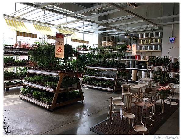 IMG_7851.JPG IMG_7851.JPG