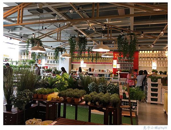 IMG_7852_副本.jpg IMG_7852_副本.jpg