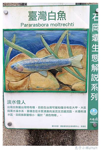 IMG_9347_副本.jpg IMG_9347_副本.jpg