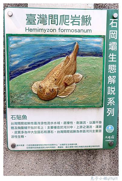 IMG_9352_副本.jpg IMG_9352_副本.jpg