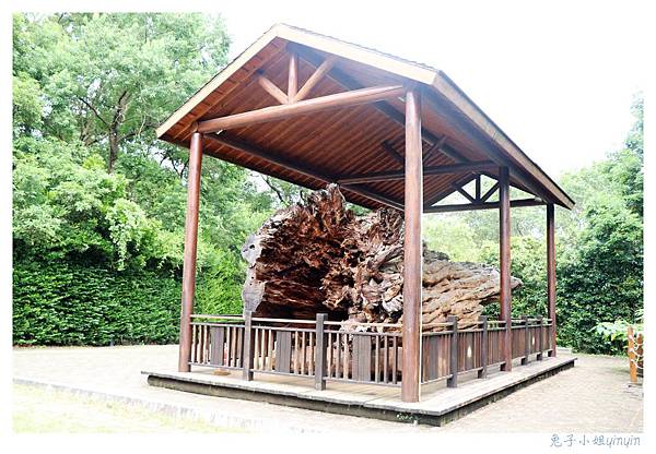 IMG_9107_副本.jpg IMG_9107_副本.jpg