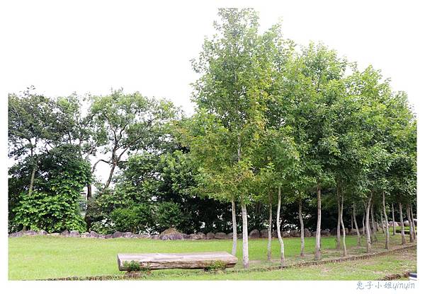 IMG_9132_副本.jpg IMG_9132_副本.jpg