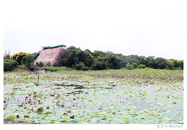 IMG_9139_副本.jpg IMG_9139_副本.jpg