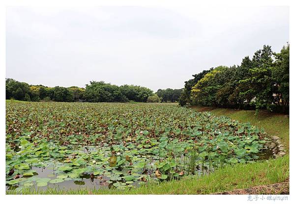 IMG_9140_副本.jpg IMG_9140_副本.jpg