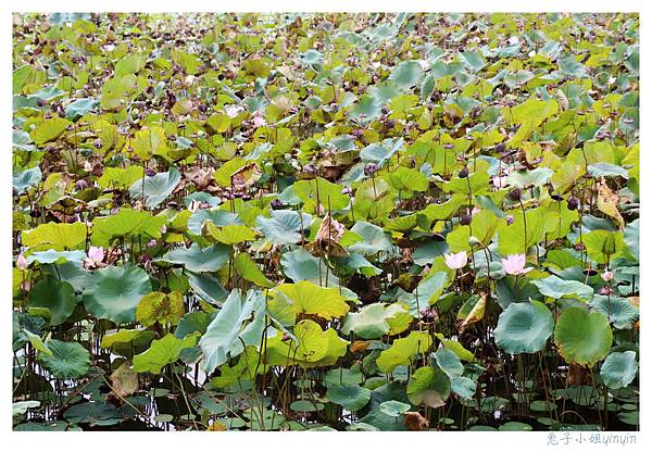 IMG_9144_副本.jpg IMG_9144_副本.jpg