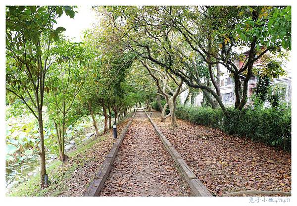 IMG_9150_副本.jpg IMG_9150_副本.jpg