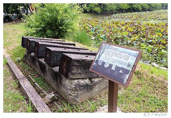 IMG_9156_副本.jpg IMG_9156_副本.jpg