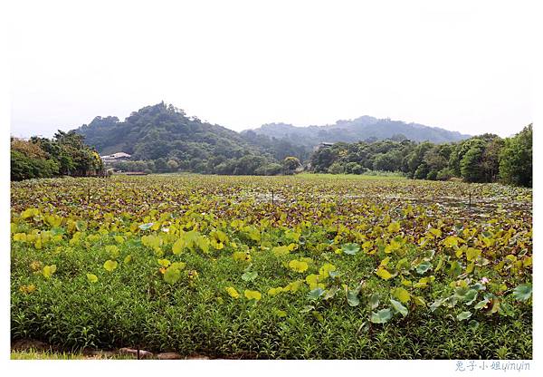 IMG_9158_副本.jpg IMG_9158_副本.jpg