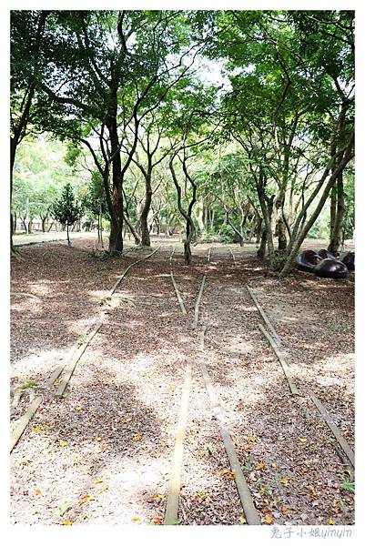 IMG_9167_副本.jpg IMG_9167_副本.jpg