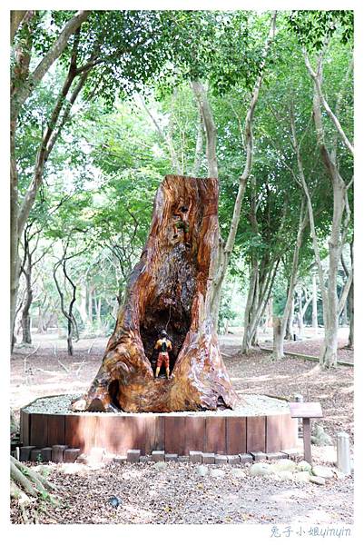 IMG_9176_副本.jpg IMG_9176_副本.jpg