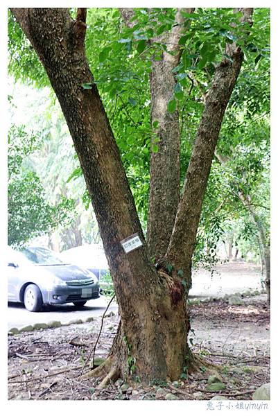 IMG_9178_副本.jpg IMG_9178_副本.jpg