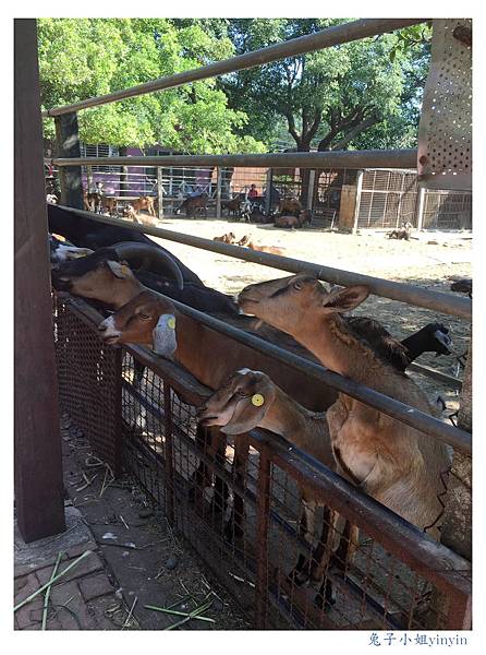 IMG_9520_副本.jpg IMG_9520_副本.jpg