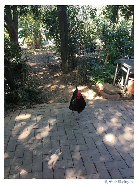 IMG_9525_副本.jpg IMG_9525_副本.jpg