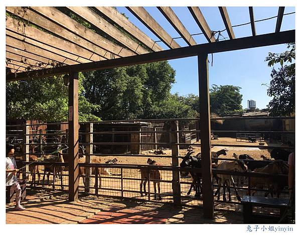 IMG_9517_副本.jpg IMG_9517_副本.jpg