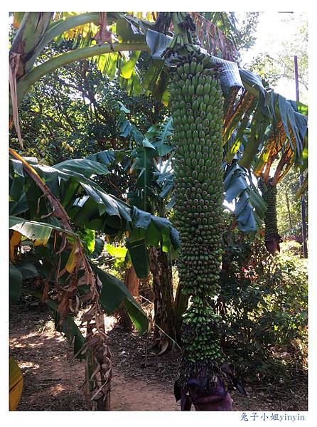 IMG_9516_副本.jpg IMG_9516_副本.jpg