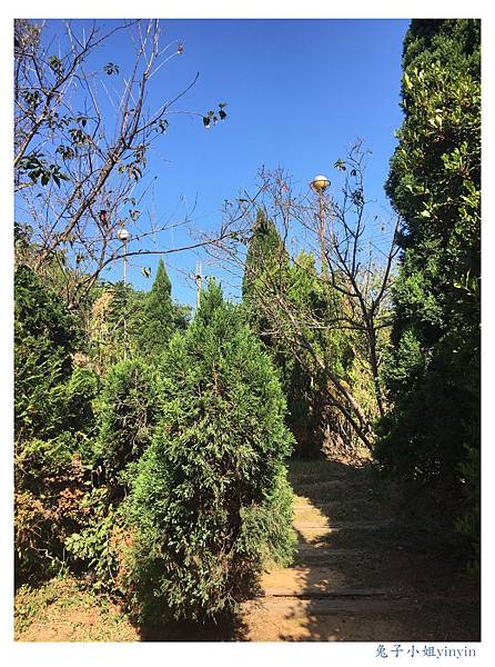 IMG_9515_副本.jpg IMG_9515_副本.jpg