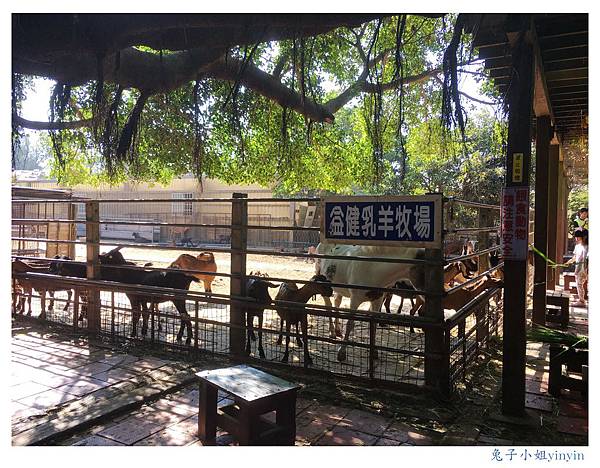 IMG_9533_副本.jpg IMG_9533_副本.jpg