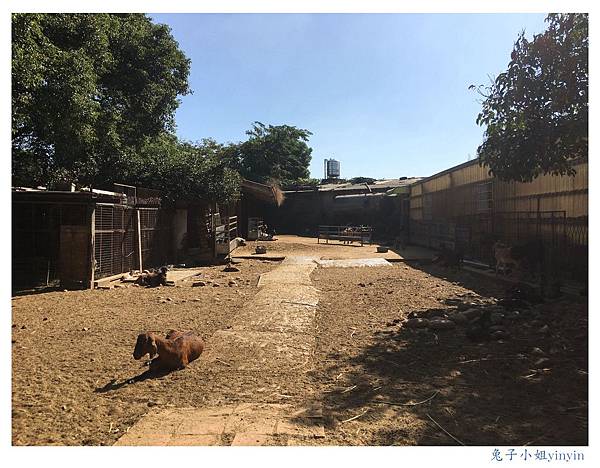 IMG_9537_副本.jpg IMG_9537_副本.jpg